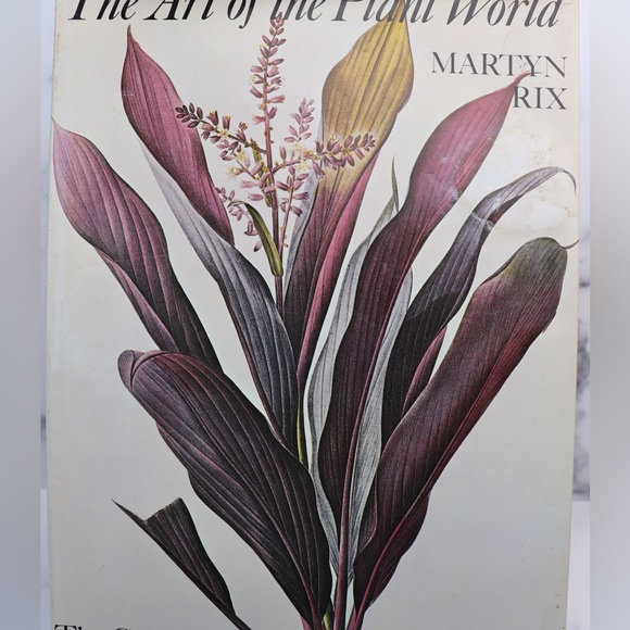 Vintage 1980's Botanical Art Book The Art Of The Plant World  Martyn Rix - Picture 3 of 16